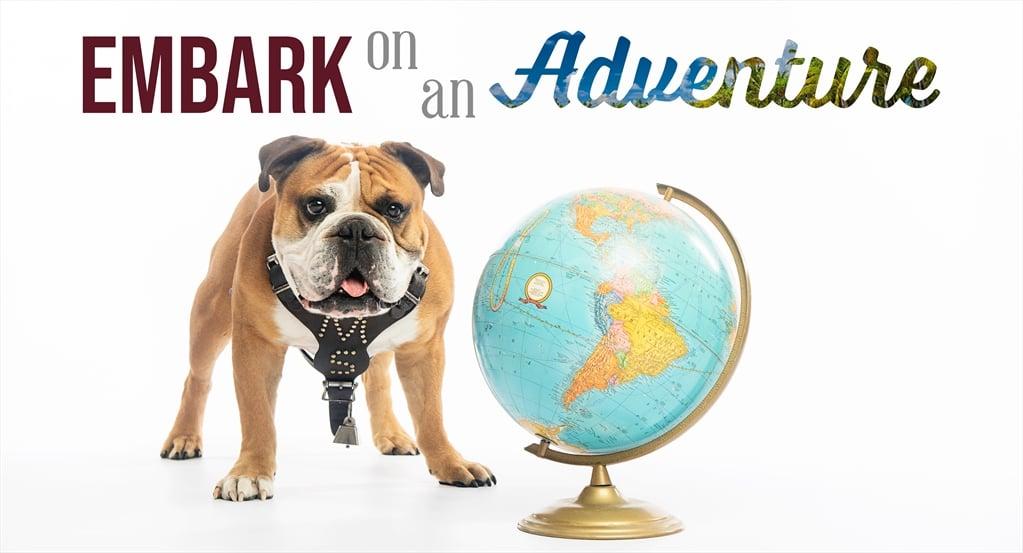 DOG iD: Em-bark on Adventure